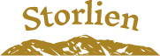 Destination Storlien Logotyp